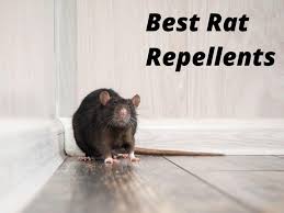 Eco defense pest control pouches are the safe alternative to chemical based pesticides and poison. Best Rat Repellents In 2021 Eco Friendly And Humane The Home Pest Control