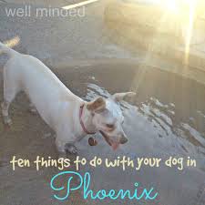 We are a one stop shop for pet grooming, food, treats and supplies. Ten Things To Do With Your Dog In Phoenix Well Minded Pets