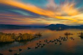 Lake County Photographer's Guild