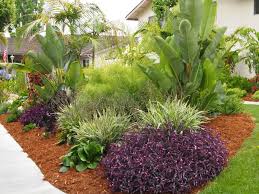 Project Gallery Waterwise Botanicals Water Wise Landscaping Xeriscape Front Yard Waterwise Landscaping