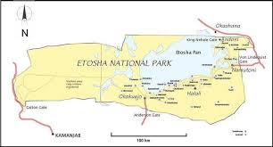 It spans an area of 22,270 km2 (8,6. The Etosha National Park In Its Current Borders Www Transafrika Org Download Scientific Diagram