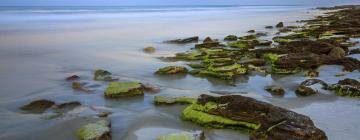 Our hourly uv forecast calculations begin by using the predicted ozone layer thickness over a particular location as provided by royal netherlands meteorological institute (knmi). The 10 Best Bradenton Beach Hotels From 115