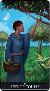 Coffret Le Tarot de la sagesse divine: Moore, Barbara, Rivolli, Franco,  Forestier, Karine: 9782382971031: Amazon.com: Books