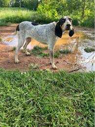 Green as grass msg me for any questions