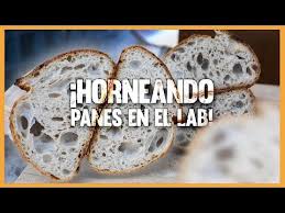 Como Hacer Panes De Masa Madre En Cantidad Youtube En 2020 Pan De Masa Madre Como Hacer Pan Masa Madre
