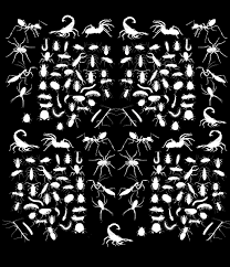 Select from 35915 printable coloring pages of cartoons, animals, nature, bible and many more. Spider Coloring Pages For Adults