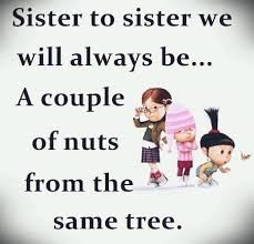Cute Sayings For Sisters Birthday Png Aesthetic Vintage Png Aesthetic In 2020 Sister Birthday Quotes Funny Sister Quotes Funny Big Sister Quotes