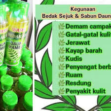 Bedak sejuk merupakan sejenis bahan rawatan tradisional yang berasal dari kepulauan melayu. Bedak Sejuk Daun Semambu Penawar Campak Chicken Pox Gatal Kulit Shopee Malaysia