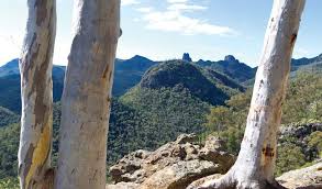 Camp Pincham Offers Rustic Walk In Camping With Scenic Views Walking Wildlife And Wildflowers In Warrumbungles National Pa National Parks Scenic Scenic Views