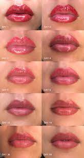 Permanent Makeup Lip Tattoos I Got My Lips Done Here S Why The Baller On A Budget An Affordable Fashion Beauty Lifestyle Blog Lip Color Tattoo Natural