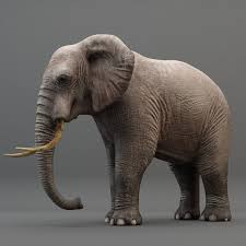 Elephant Rigging Animation 3d Model Elephant 3d Model Animation