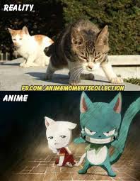 Anime Or Reality Fairy Tail Happy Fairy Tail Meme Fairy Tail Funny