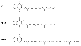 Vitamin k2 (a few different substances called menaquinones), is produced by microorganisms and scarce in plant foods, so k2 is it is unclear why vitamin k2 seems to be more beneficial than k1 for the cardiovascular system; Vitamin K Wikipedia