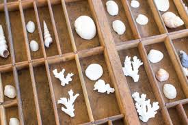 Best sellers price, low to high price, high to low new. Upcycled Coastal Printers Tray Finding Silver Pennies