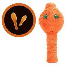 Giant Plush Microbes Thinkgeek Plush Microbes Giant Plush Plush