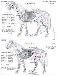 20 described acupuncture alarm points chart