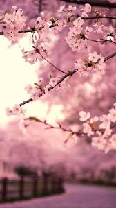 ❤ get the best naruto and sasuke wallpaper on wallpaperset. Sakura Wallpaper Hd For Android Apk Download