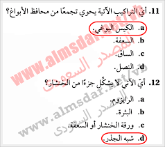 أي التراكيب الآتية يحوي تجمعا من محافظ الأبواغ جوابك