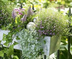 Für einen ein meter langen blumenkasten werde fünf bis sieben pflanzen benötigt 08. Blumenkasten Auswahlen Und Richtig Bepflanzen Living At Home