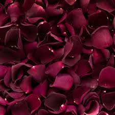 Pin On Rose Petals