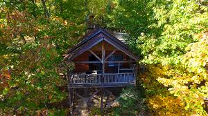 Maybe you would like to learn more about one of these? Treehouse Cabins The Best Decision You Ll Make All Year