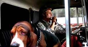 Rumble — #hindsighters, darth and jason strive to provide you with aberrant content on a weekly basis, and on this particular episode, they sure didn't disappoint. Smokey And The Bandit Charm Fades As Truck Driver Hiring Lags Ajot Com