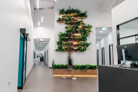 Adds calming, and clean air.