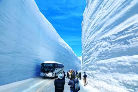 Snow Corridor Walk, Tateyama | Events | The Official Tourism Website of  Toyama "Visit Toyama"