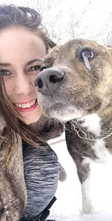 KCSD picked up stray dog in Bristol