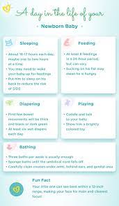 Your Newborn Baby Milestones Feeding And Development Pampers