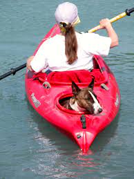 Lizzy Loves To Kayak Bulterer