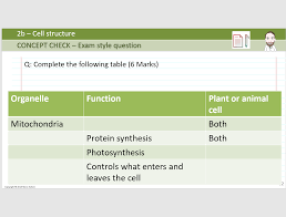 All cells share certain characteristics. 2b Cell Structure