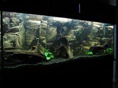 This Is A 155 Gallon Tank Whew Had To Have Taken Forever To Build Tropical Fish Aquarium Aquarium Aquarium Fish Tank