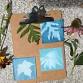 Printing in the Meadow: Cyanotypes at the Ipswich Museum