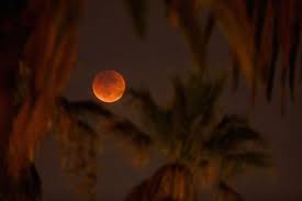 What does it mean to be a super blood wolf moon? Pin Pa Awesome Pics