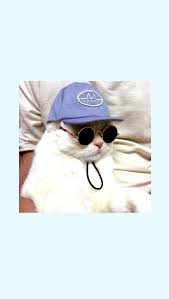 Cats Wallpaper Animal Mood Cute Disney Wallpaper Wallpaper Iphone Cute Disney Wallpaper