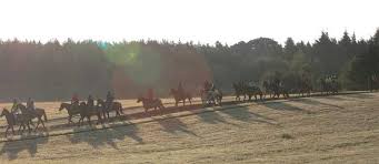 Gary Moore - Heart of the South Racing