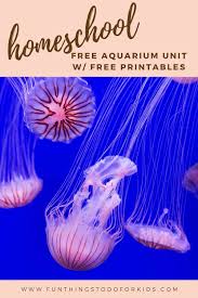 Virtual Field Trip The Mega Aquarium Visit Free Fun Things To Do For Kids In 2020 Field Trip Homeschool Field Trips Kids Calendar