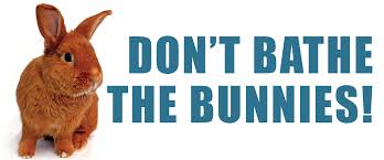 They do not like the water and being in a tub only causes stress. Can You Bathe A Rabbit No Don T Bathe The Bunnies Small Pet Select
