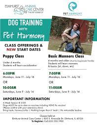 One of the things that sets the elmhurst animal care center apart from other veterinarian clinics is its well trained staff. Training Alliebender Eacc Junejuly Elmhurst Animal Care Center Elmhurst Il Elmhurst Animal Care Center Elmhurst Il