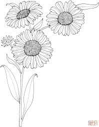 Realistic Sunflowers Coloring Page Supercoloring Com Sunflower Coloring Pages Sunflower Colors Flower Coloring Pages