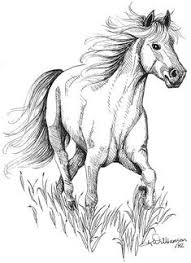 33 Ideas De Como Dibujar Un Caballo Como Dibujar Un Caballo Dibujos De Caballos Pinturas De Caballos Son dibujos de caballos fáciles y dibujos de caballos tiernos y sorprendentes que están deseando llegar a tus manos. 33 ideas de como dibujar un caballo