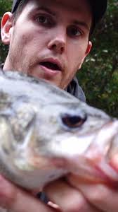 MMD HardyHead: The Ultimate Flathead Fishing Secret