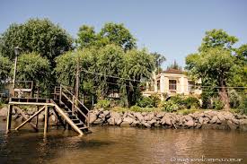 Vivir En El Delta De Tigre Un Paseo En Lancha Por Tigre Magia En El Camino Espejo De Agua Islas Paisajes
