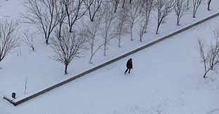 снег выпал только в январе на третье в ночь Sneg Vypal Tolko V Yanvare V Volgograd Prishla Belaya Zima