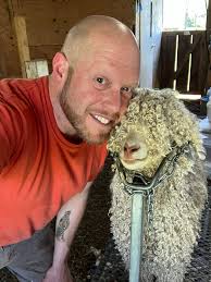 Today was hair and nails for the Turnip Hole Barbies- yearling does. For a  number of reasons shearing is later than I'd like but it does put all of  these does at