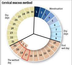 Menstrual Cycle Safe Sex Days