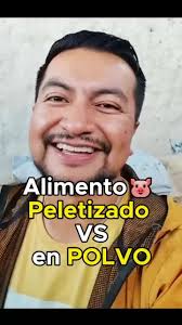 Alimentos Balanceados para Cerdos: Peletizado vs. Polvo