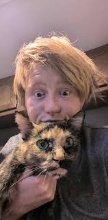 Cat found in Fillmore Oak Haven neighborhood