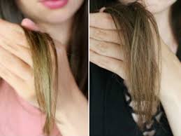 If you always have issues with brassy undertones in your brown hair, tell your stylist. How To Dye Blonde Hair Black Without It Turning Green Lewigs